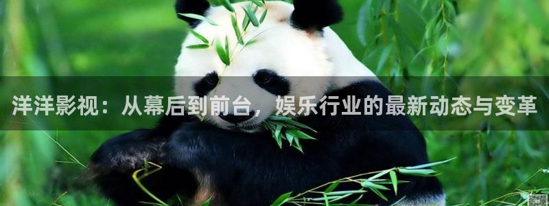 嫩草影院国产第一页