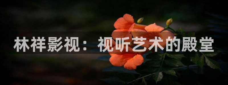 嫩草影院懂你的影院：林祥影视：视听艺术的殿堂