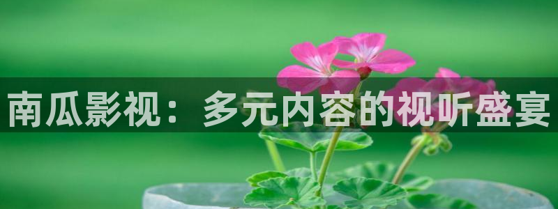 嫩草影院2：南瓜影视：多元内容的视听盛宴