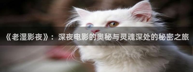 嫩草影院久久电影网站：《老湿影夜》：深夜电影的奥秘与灵魂深处的秘密之旅